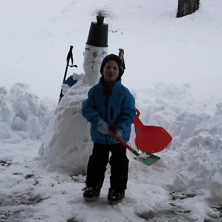 Haus Konzett 公寓 达拉斯