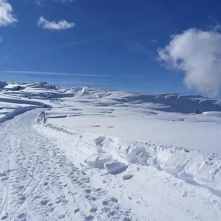 公寓 Haus Konzett 达拉斯